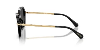 Swarovski Sunglasses SK6040F