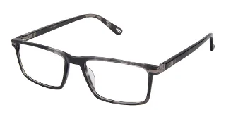 S400-K-798 Black Tortoise