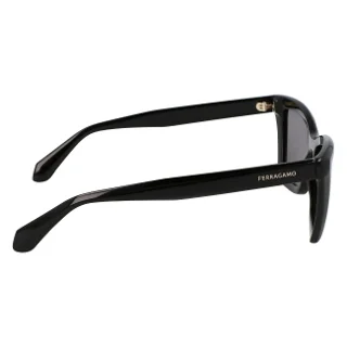 Salvatore Ferragamo Sunglasses SF2039SE