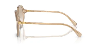 Swarovski Sunglasses SK6003F