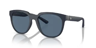 Emporio Armani Sunglasses EA4205
