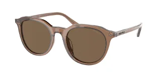 567273 Transparent Brown