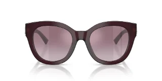 Jimmy Choo Sunglasses JC5053
