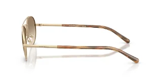 Emporio Armani Sunglasses EA2171