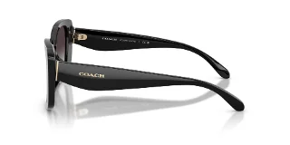 Coach Sunglasses HC8450U