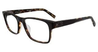 Black/Tortoise