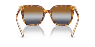 Coach Sunglasses HC8381U