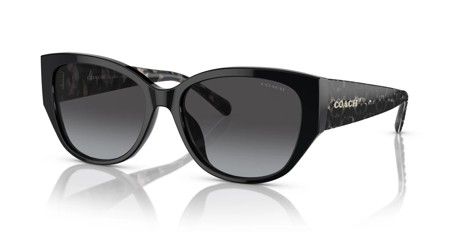 Coach Sunglasses HC8362U