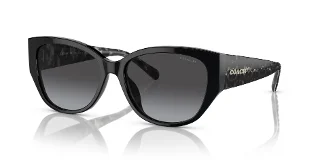 Coach Sunglasses HC8362U