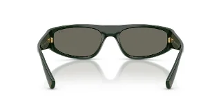 Polo Sunglasses PH4250U
