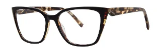 Black Tortoise