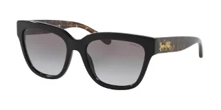 Coach Sunglasses HC8262