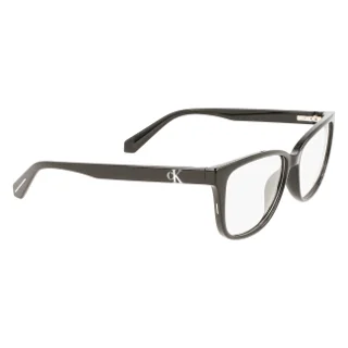 Calvin Klein Collection Eyeglasses CKJ22619