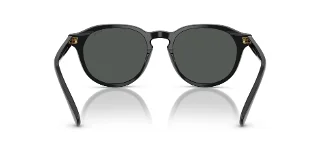 Polo Sunglasses PH4221F