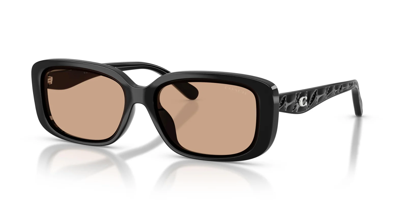 Coach Sunglasses HC8444D