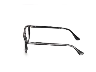 Web Eyeglasses WE5456