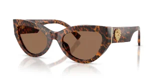 347073 Leo Transparent