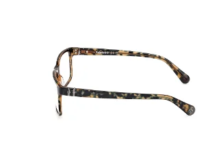Timberland Eyeglasses TB50035