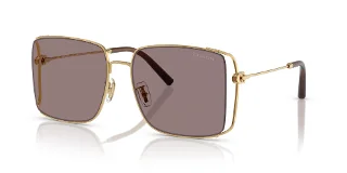94417N Shiny Gold