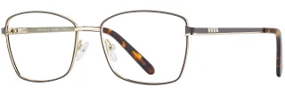 C02 Chocolate/Gold