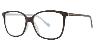 550 Tortoise