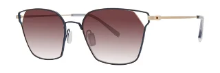 Paradigm Sunglasses 20-50