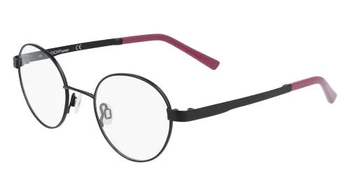 Flexon Eyeglasses J4011