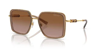 Versace Sunglasses VE2261