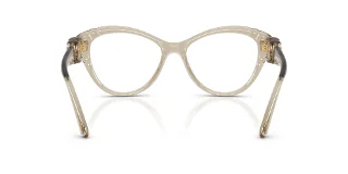 Swarovski Eyeglasses SK2057