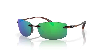 907103 Tortoise