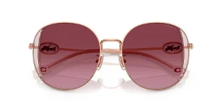 Coach Sunglasses HC7176B