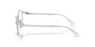 Swarovski Eyeglasses SK1002