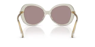 Swarovski Sunglasses SK6059