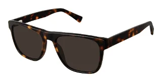 S412-Sfs-2015 Tortoise