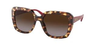 302813 Jetset Tortoise