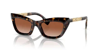 300213 Dark Havana