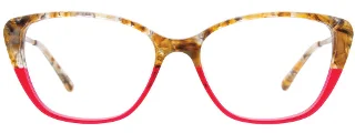 Easyclip Eyeglasses EC552