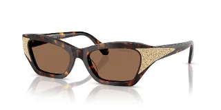 100273 Dark Havana