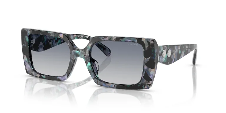 Coach Sunglasses HC8409U