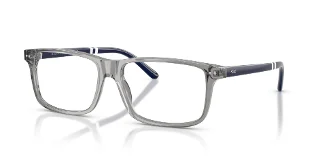6318 Shiny Transparent Grey