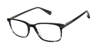 Ted Baker Eyeglasses TLM003