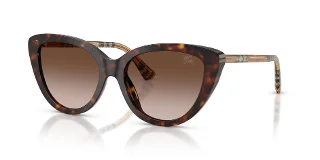 421613 Dark Havana