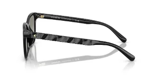 Coach Sunglasses HC8429D