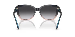 Emporio Armani Sunglasses EA4198