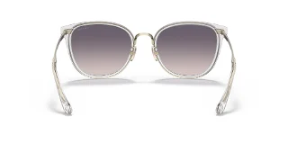 Coach Sunglasses HC7135