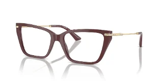 Jimmy Choo Eyeglasses JC3002B