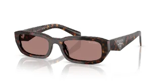 17N60B Root Tortoise