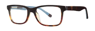 Black Tortoise