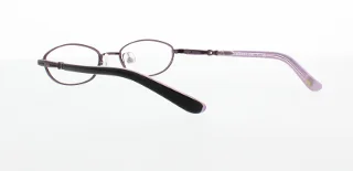 Polo Eyeglasses PP8015