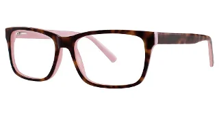 GB+ Eyeglasses Intellect